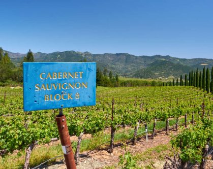 Descubre la Excelencia: Los Vinos Cabernet Sauvignon de Vinos Wagner