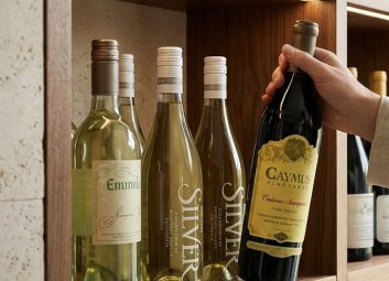 Cómo Conservar el Vino en Verano: Guía Completa de Almacenamiento