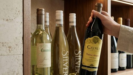 Cómo Conservar el Vino en Verano: Guía Completa de Almacenamiento