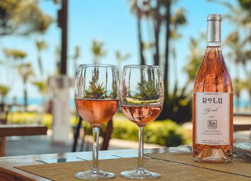 Vinos Rosados para Verano: Los Que Sí Aguantan el Calor