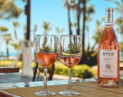 Vinos Rosados para Verano: Los Que Sí Aguantan el Calor