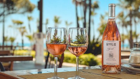 Vinos Rosados para Verano: Los Que Sí Aguantan el Calor
