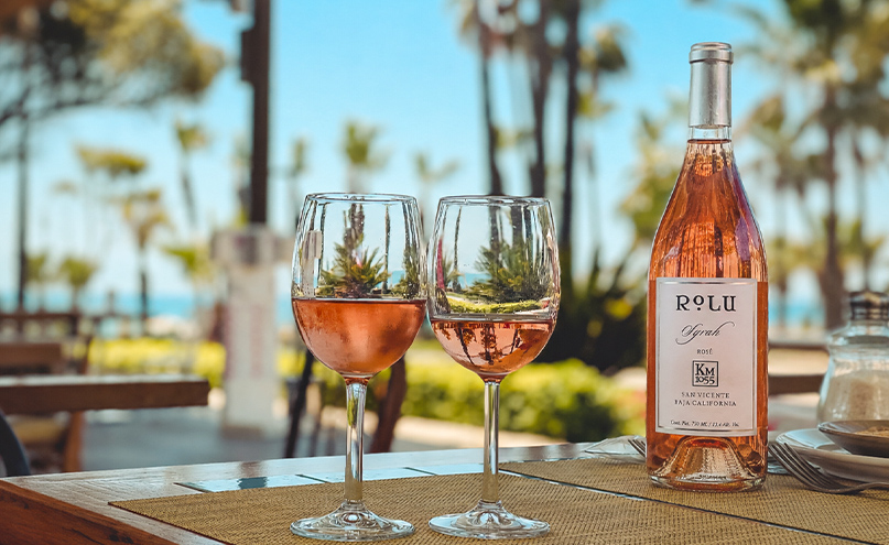 Vinos Rosados para Verano: Los Que Sí Aguantan el Calor