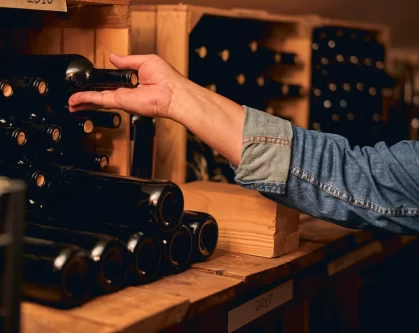 Cómo Hacer una Cava de Vinos Casera: Guía Completa para Amantes del Vino