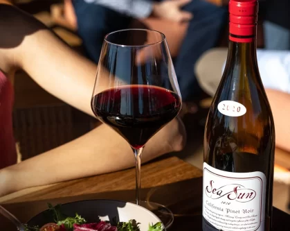 El Mejor Vino Tinto para la Salud: Sea Sun Pinot Noir